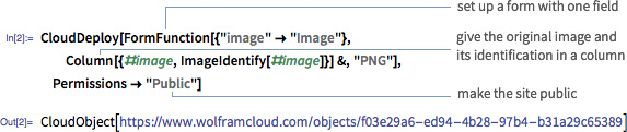 Wolfram Language code deploying an image identification form to the cloud