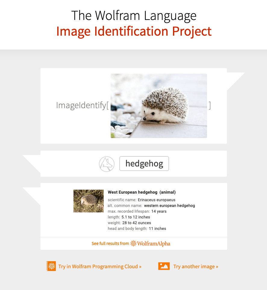 Archived slideshow example 5